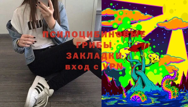 сатива Богородск